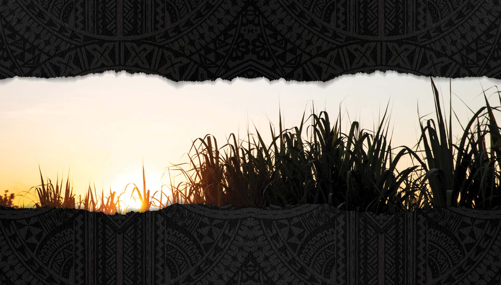 RATU-range-pageBG